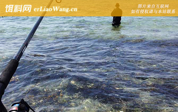 矶钓:根据海底情况选择