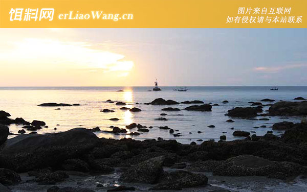 矶钓:通心坠找底