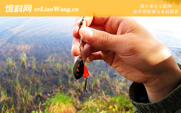 路亚钓法:目标鱼种