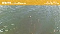 传统钓怎么选钓位？