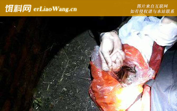 夜钓:注意事项