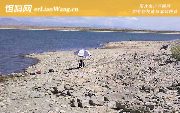 水库钓鱼:作钓技巧