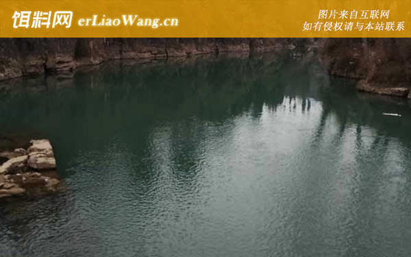 春季钓鱼:钓点选择