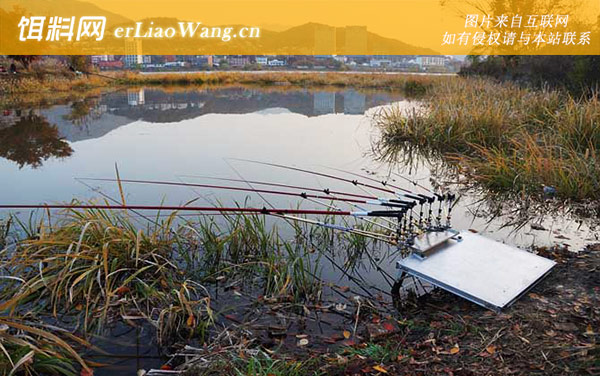 春季钓鱼:虚实兼备