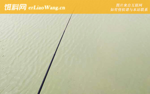 春季钓鱼:及时补窝