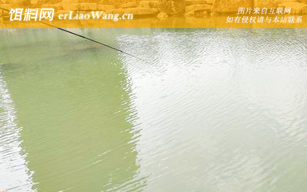 钓鲫鱼:钩组搭配