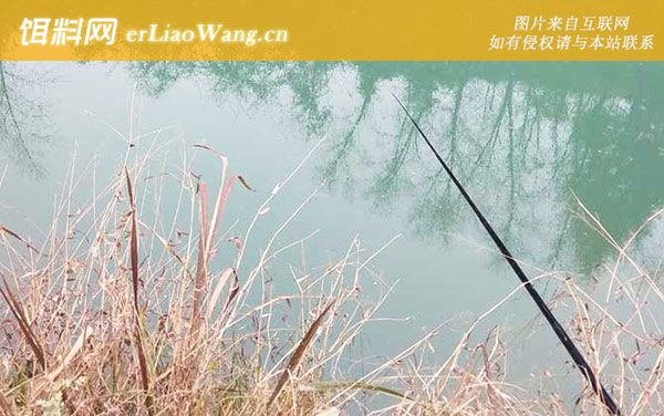 钓鲤鱼:提竿技巧