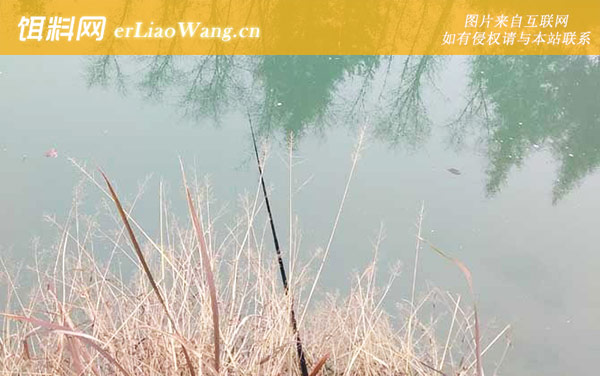 钓鲫鱼:钓具搭配