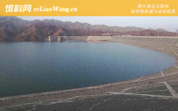 水库钓鱼:饵料选择