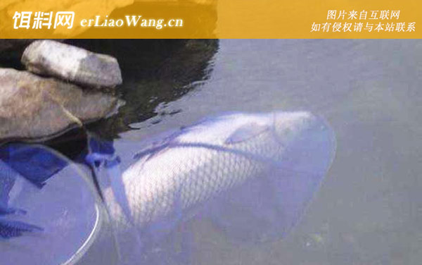 水库钓鱼:钓具搭配