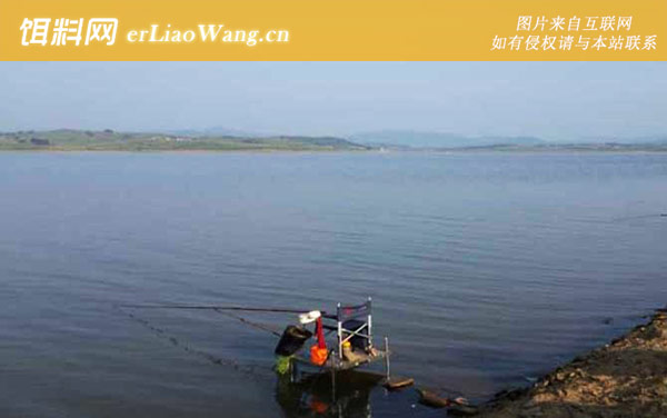 水库钓鱼:饵料选择