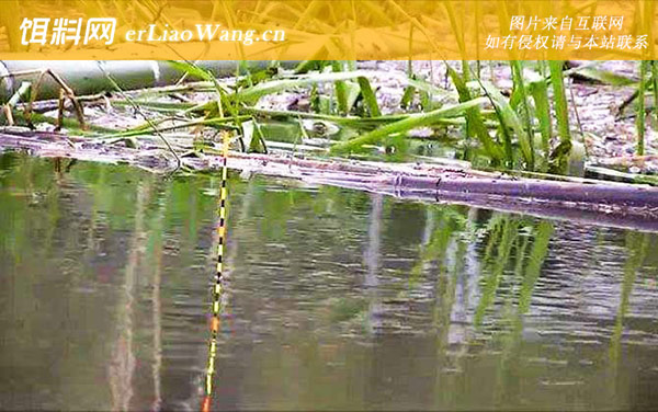 如何才能精确判读漂讯-抢漂