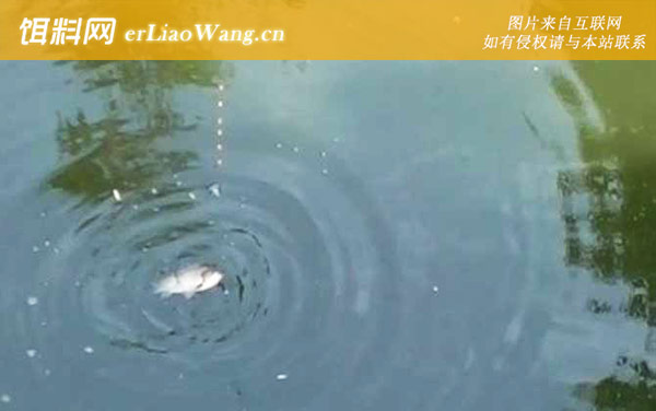 如何才能精确判读漂讯-移漂