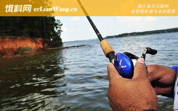 路亚鲈鱼:拟饵抛投
