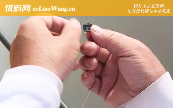 无钩调漂:第三步：提坠离底