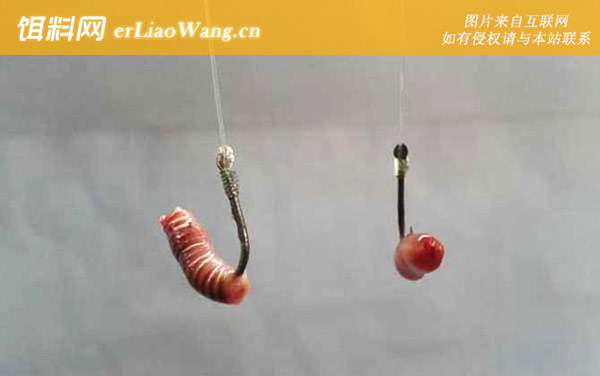 无钩调漂:第六步：挂饵找底