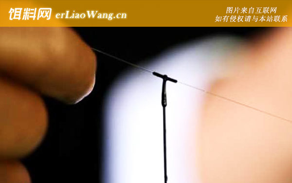 无钩调漂:第七步：确定钓目