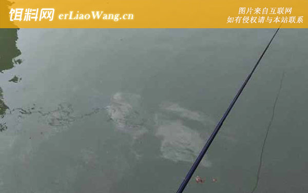 钓鲫鱼:作钓技巧