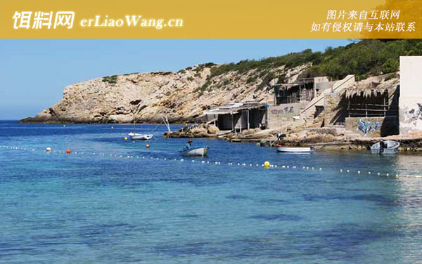 石斑鱼:作钓工具