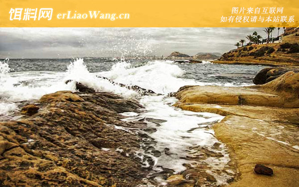 石斑鱼:常用钓法