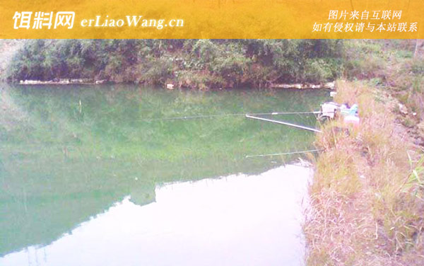 冬季钓鱼:窝料选用