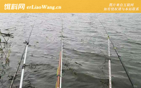 混养药酒:混养药酒