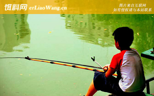 钓鱼:注意事项