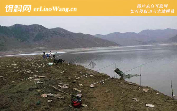 春季钓鱼:草鱼饵料