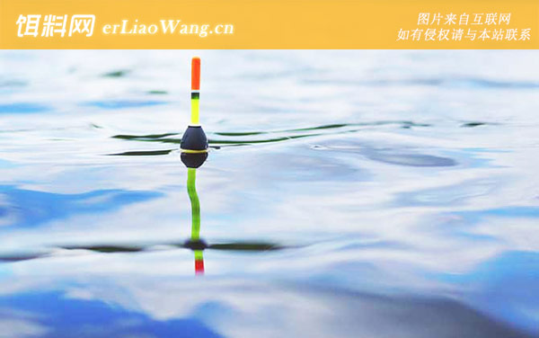 夏季钓鱼:草鱼配方