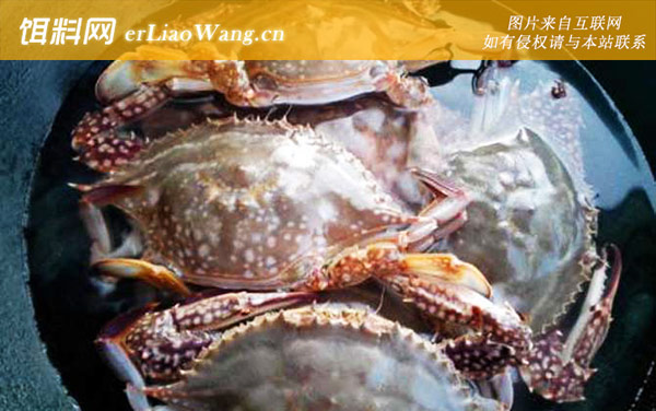 螃蟹:常见种类