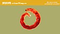 《红虫种类及图片大全》封面图