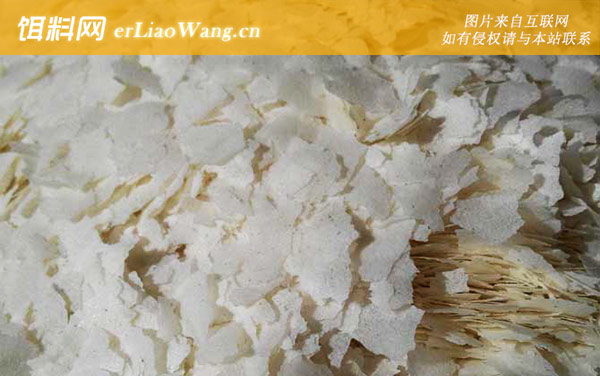 雪花粉:注意事项