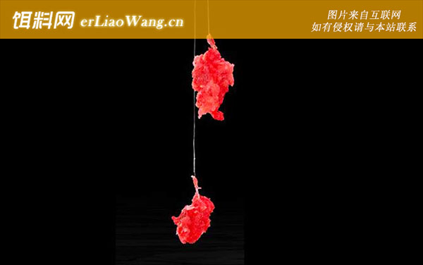 拉饵开饵技巧及注意事项-适当打揉