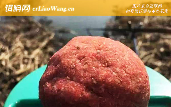 拉饵和搓饵的有什么区别-适钓鱼种