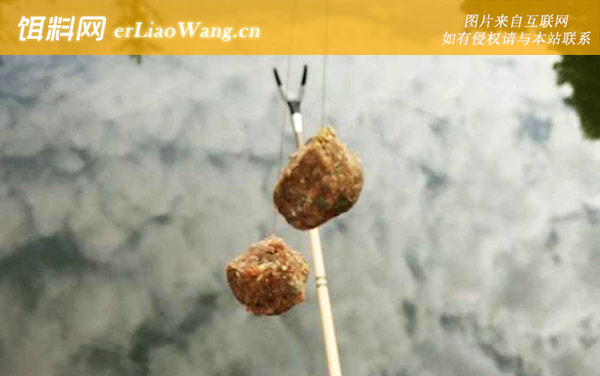 搓饵怎么开附钩性才强-加水醒饵