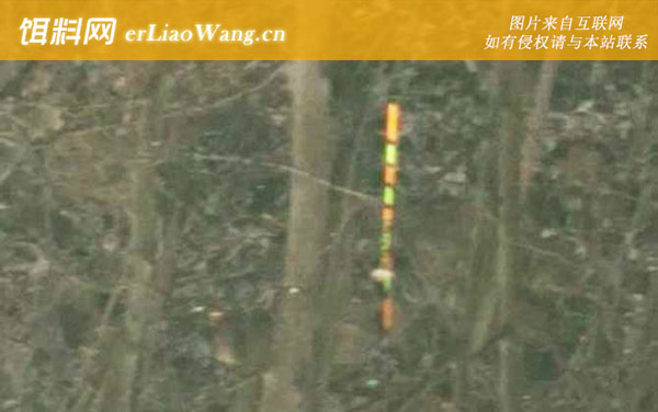 水库钓鲫鱼调漂的正确方法-注意事项