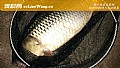 春季钓鲤鱼的最佳方法