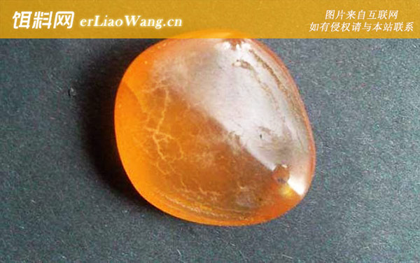 青鱼石:主要作用