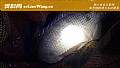 《野钓大罗非用什么饵料最好?》封面图