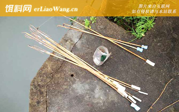 钓黄鳝:作钓技巧