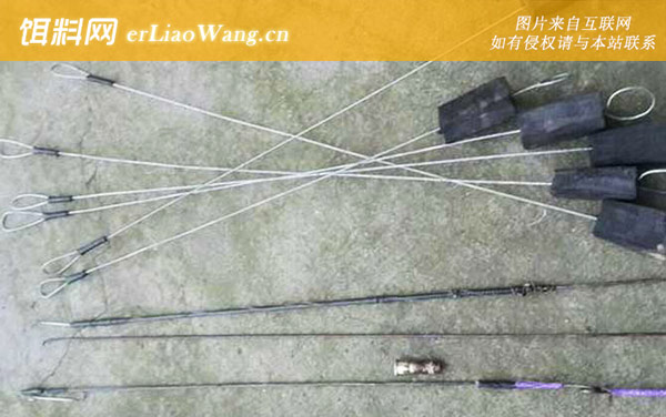 钓黄鳝:注意事项