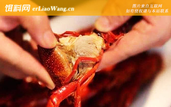 小龙虾:禁食部位