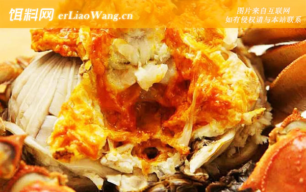 螃蟹:注意事项