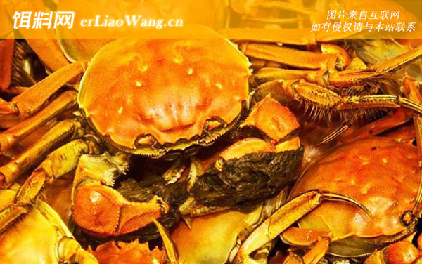 螃蟹:注意事项