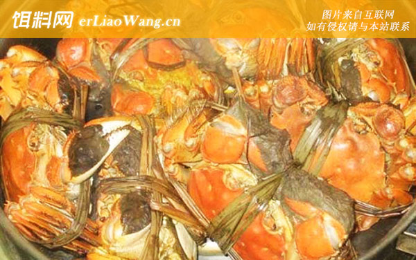 螃蟹:注意事项