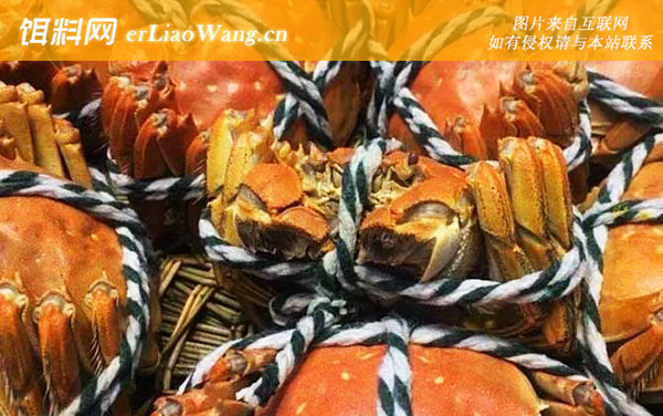 螃蟹:注意事项