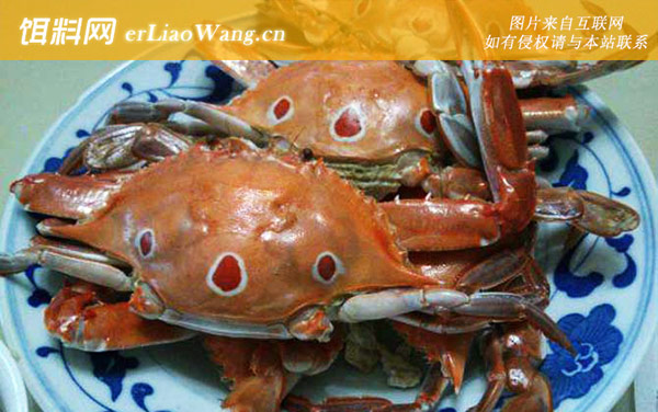 螃蟹:注意事项