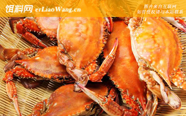 螃蟹:禁忌人群