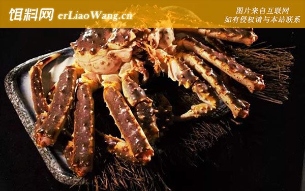 世界上最大的螃蟹是什么蟹-阿拉斯加帝王蟹
