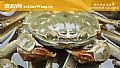 《大闸蟹是什么蟹种？》封面图